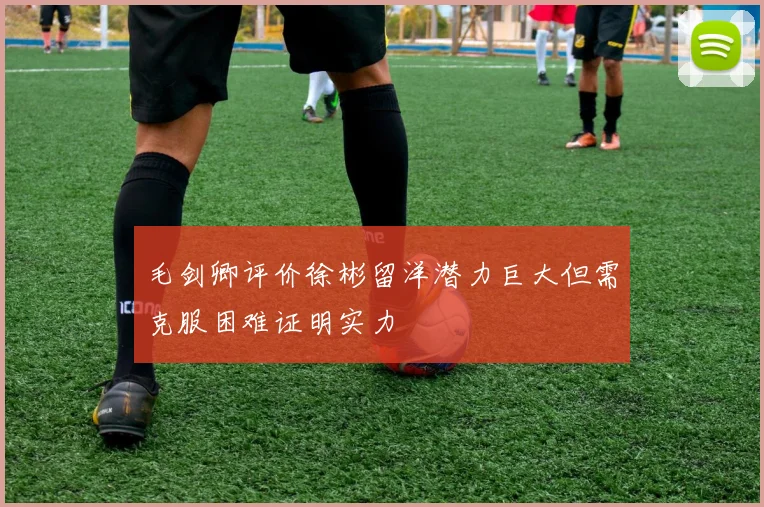 毛剑卿评价徐彬留洋潜力巨大但需克服困难证明实力