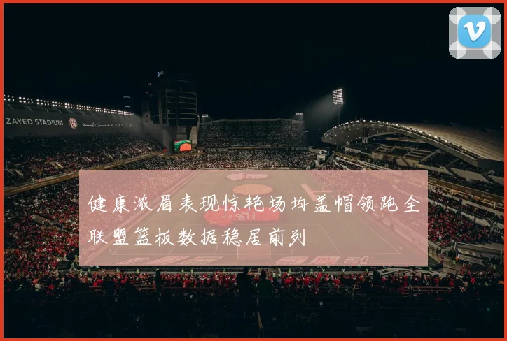 健康浓眉表现惊艳场均盖帽领跑全联盟篮板数据稳居前列