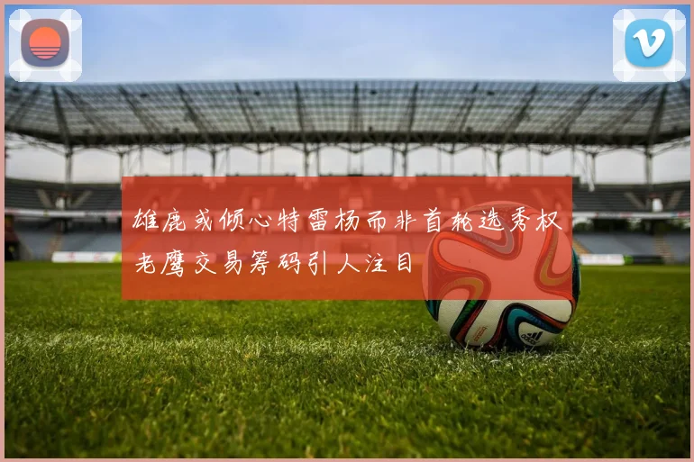 雄鹿或倾心特雷杨而非首轮选秀权老鹰交易筹码引人注目