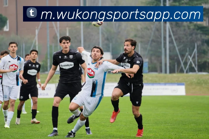 悟空体育服务体系